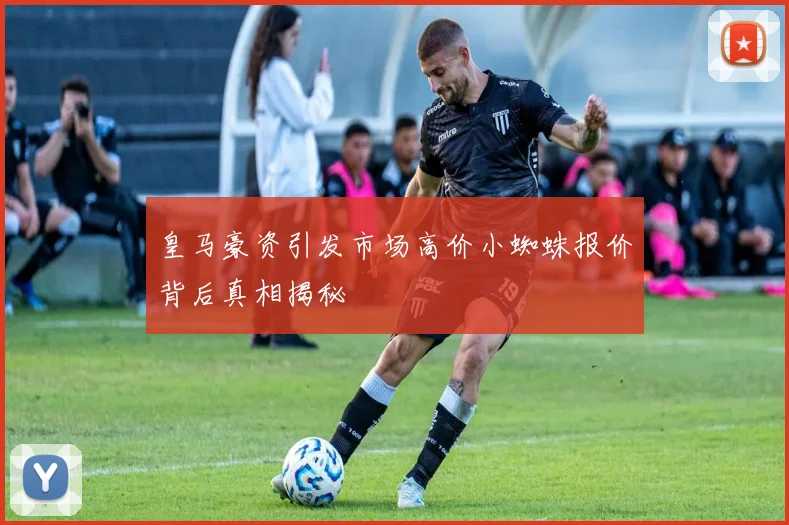 皇马豪资引发市场高价小蜘蛛报价背后真相揭秘